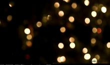 在太阳下闪烁星光