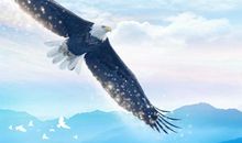 信仰在空中飞翔——读《狼图腾》有感