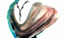 适度崇拜，但不追捧