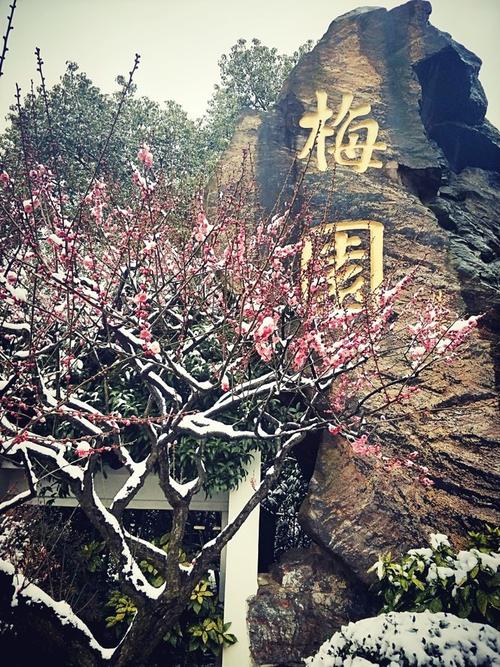 美丽，雪中的崇拜
