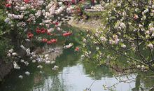 最吸引我的浓浓春意