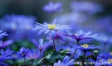 勇气，创造成功