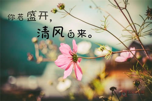 如果心脏盛开，风景就会来