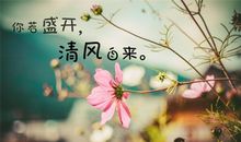 心若盛开，风景自来