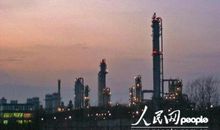 人类的“杰作”