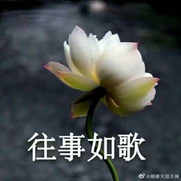 情绪最终_3000字