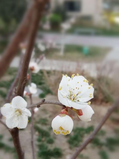 触摸弹簧