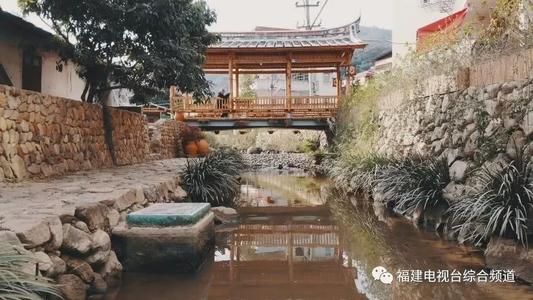 我的母亲被称为泰西