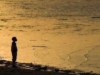 困惑的生活