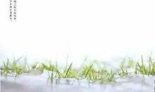 《瓦屋听雨》阅读感悟