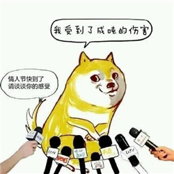 让我们让我们