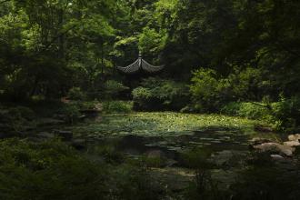 我想要的阴影_1200字