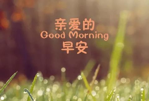 因为你，我不再孤单。