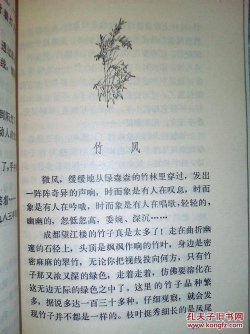 诗歌灵魂
