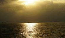 这一刻如此安静