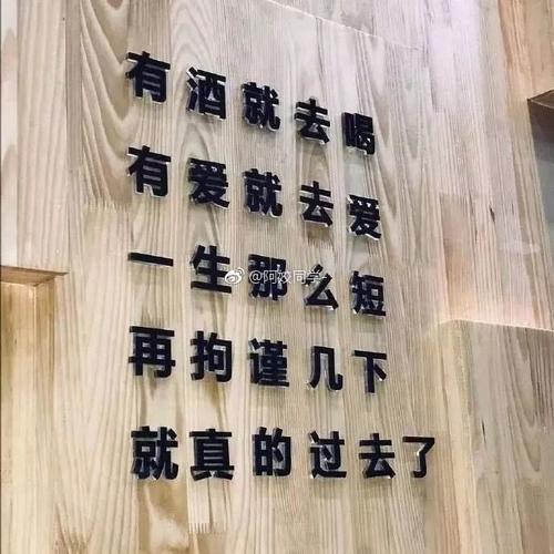 我们没有孤独，孤独_350字