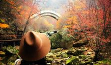 留住最美的瞬间