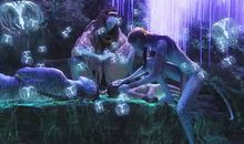 拯救地球——观《阿凡达》有感