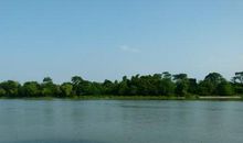 我身边的“风景”