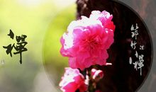 落花无情亦有情