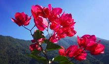 珍惜自己的幸福