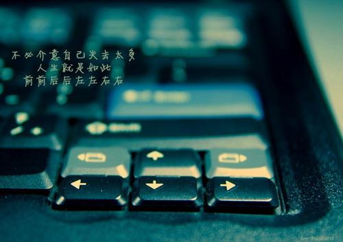 生活是如此原谅_350字