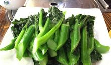 仿写《乡下人家》