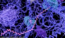 生命的过程不可预知