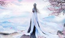 在没有诗词的日子里