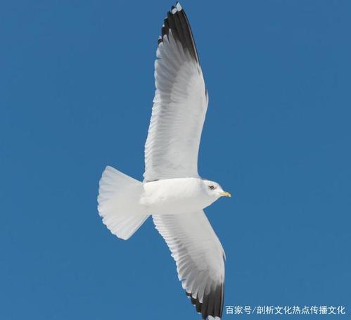 天空散文诗