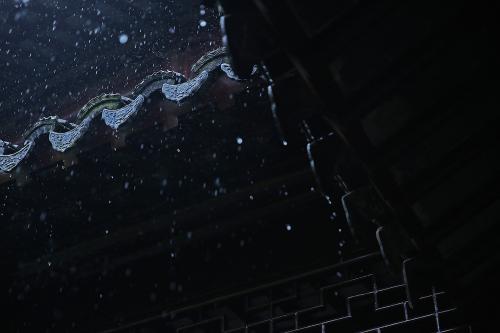 爱在风和雨中