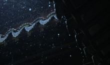 爱在风雨飘摇时