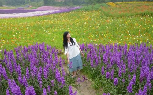 “海洋花田”诗歌