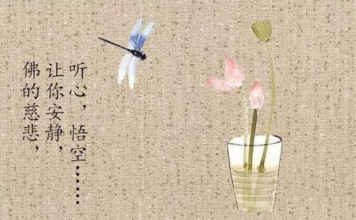 爱是同情心