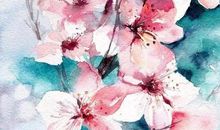 流星般的你——苏轼的一生辉煌