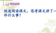 读《神鸟》有感