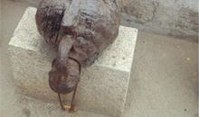 时光易老，愿梦成真