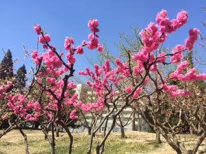 季节记忆