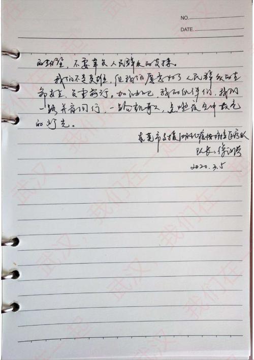 高书信：给最美丽的逆行_900字母
