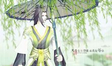 美丽高大的柳树