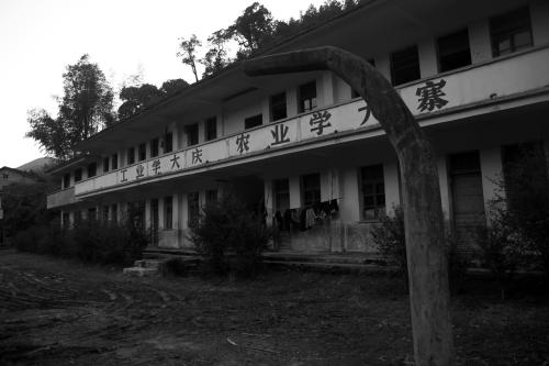多年的斑驳痕迹_2000字