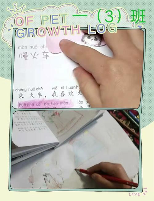 我把这本书带到了海洋