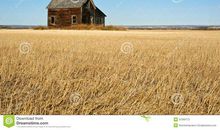 源与放弃的收获