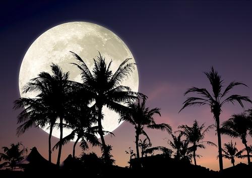 一千个姿势的夜晚