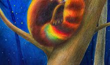 总有一盏明灯在闪亮