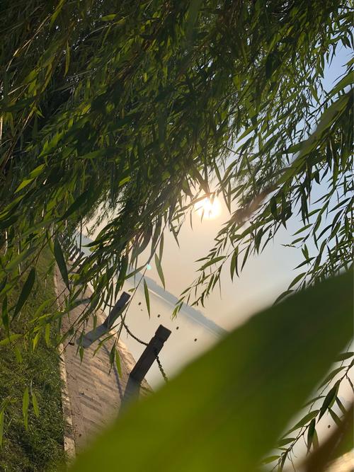 差距看起来很美