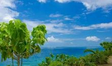 风雨人生谁能啸