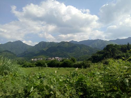 我喜欢农村生活。