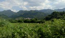 我喜爱乡村生活