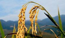 仰望与低头的智慧